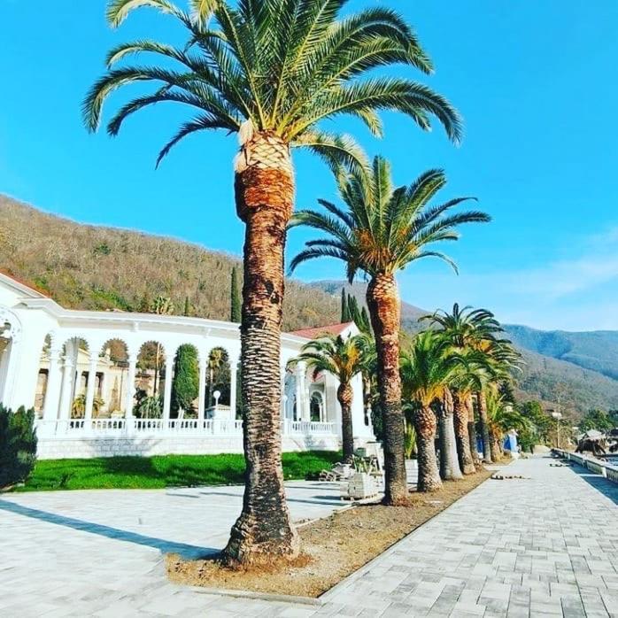 Гостевой Дом « Олимп» Hotel Alakhadzi Exterior photo